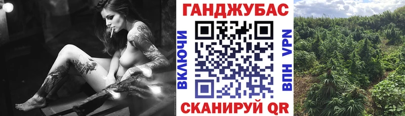 МАРИХУАНА сатива  Облучье 